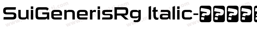 SuiGenerisRg ltalic字体转换